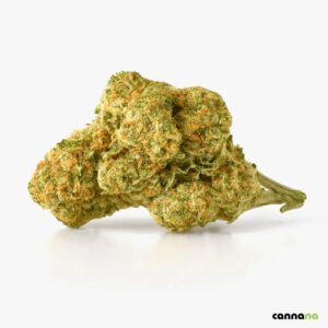 Amnesia Superior Blend 40% 🧠