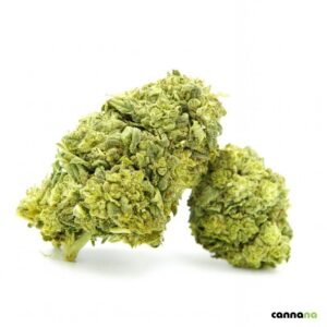 Frosted Cookies Superior 55% ❄️🍪