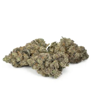 Slurricane van Pluto Craft Cannabis