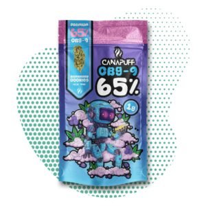 Canapuff - Bosbessen Koekje 65% - CBG9 Bloemen