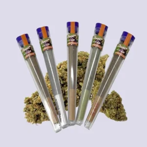 HHZ Pre-Roll Bundel – Skunk 1 met 5 stuks